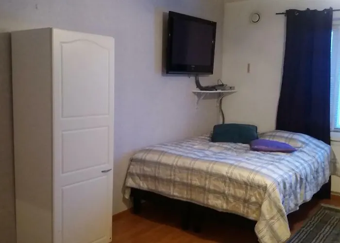Cosy Studio Apartment